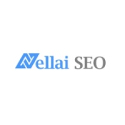 Evaluating SEO Effectiveness: Essential Metrics and Tools for Success from Nellaiseo