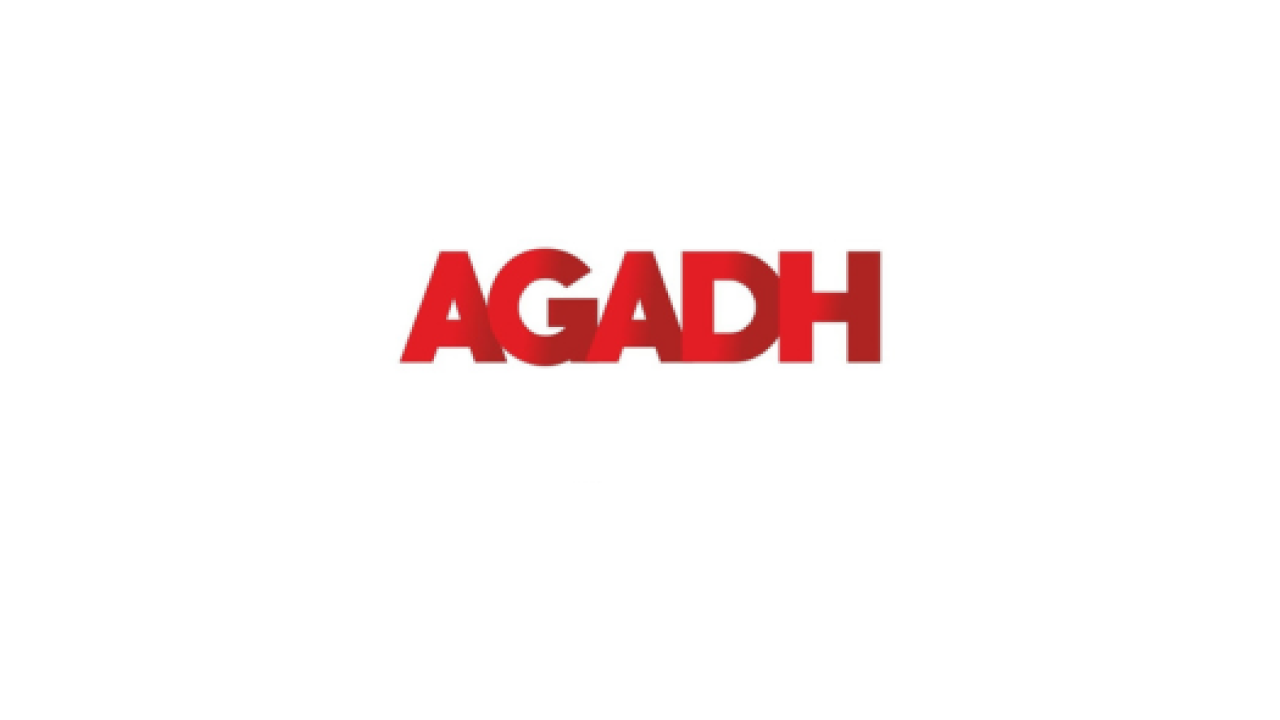 Revolutionizing Digital Marketing: Agadh, the Premier Advertising Agency in Chandigarh