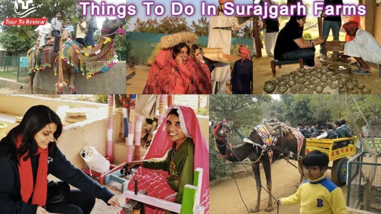 Surajgarh Farms: A Perfect Blend of Tradition and Modernity