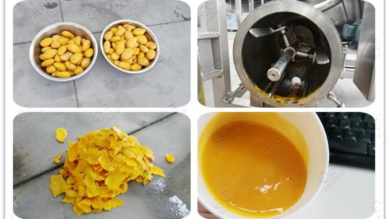 Mango Pulp Manufacturing Plant Project Report 2024: Machinery and Raw Material