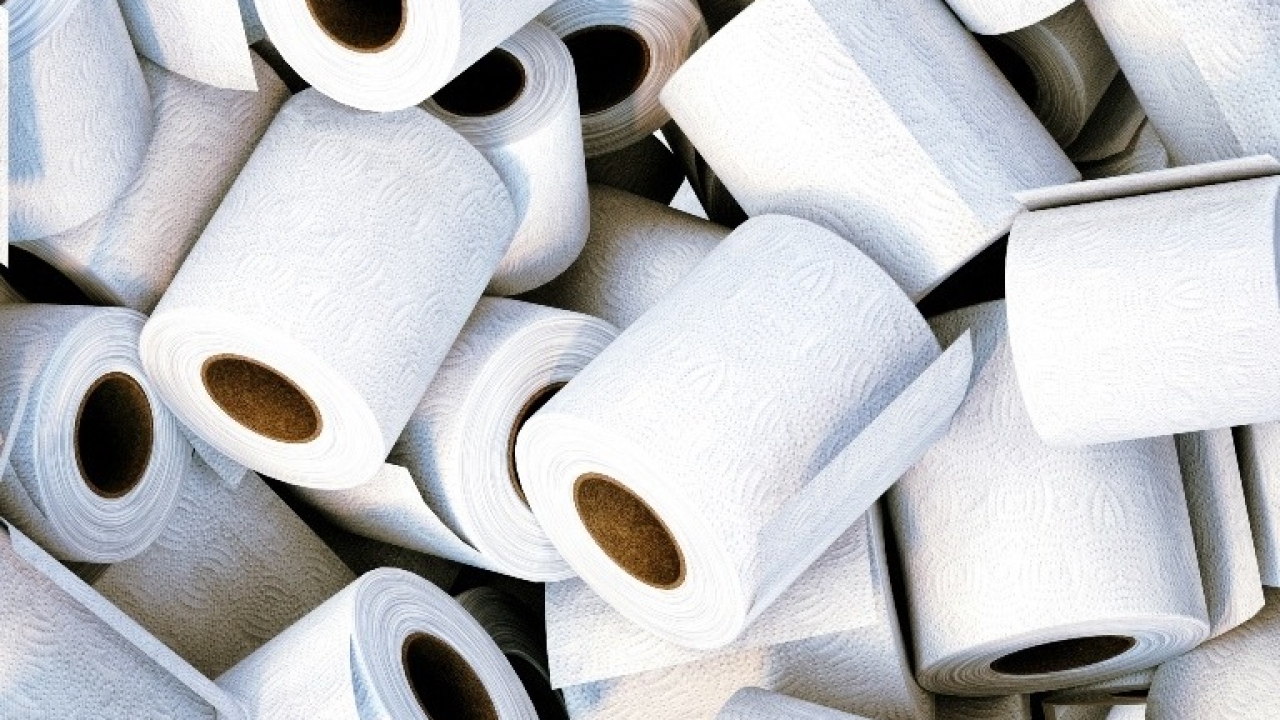 Toilet Paper Manufacturing Plant Cost Report 2024: Business Plan, Machinery, and Investment Opportunities