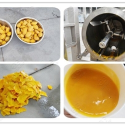 Mango Pulp Manufacturing Plant Project Report 2024: Machinery and Raw Material