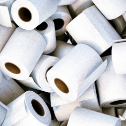 Toilet Paper Manufacturing Plant Cost Report 2024: Business Plan, Machinery, and Investment Opportunities