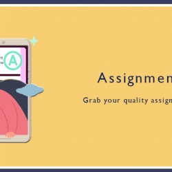 Assignment Help Services in UK