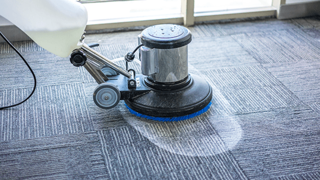 Carpet Cleaning Champions: Discover the Top-Rated Services