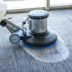 Carpet Cleaning Champions: Discover the Top-Rated Services