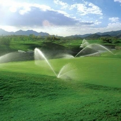 Advantages of Water-saving Irrigation