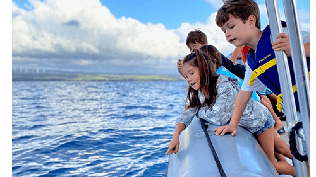 How to Honor Your Loved Ones with an Oahu At-Sea Ash Scattering Ceremony?