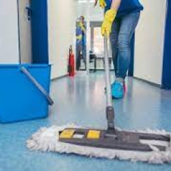 Cleaning Companies Tauranga