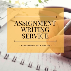 Empowering Your Academic Journey: Your Trusted Assignment Writing Partner