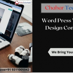 6 Explanation on Why Word Press Website Design Company in Delhi Is Important