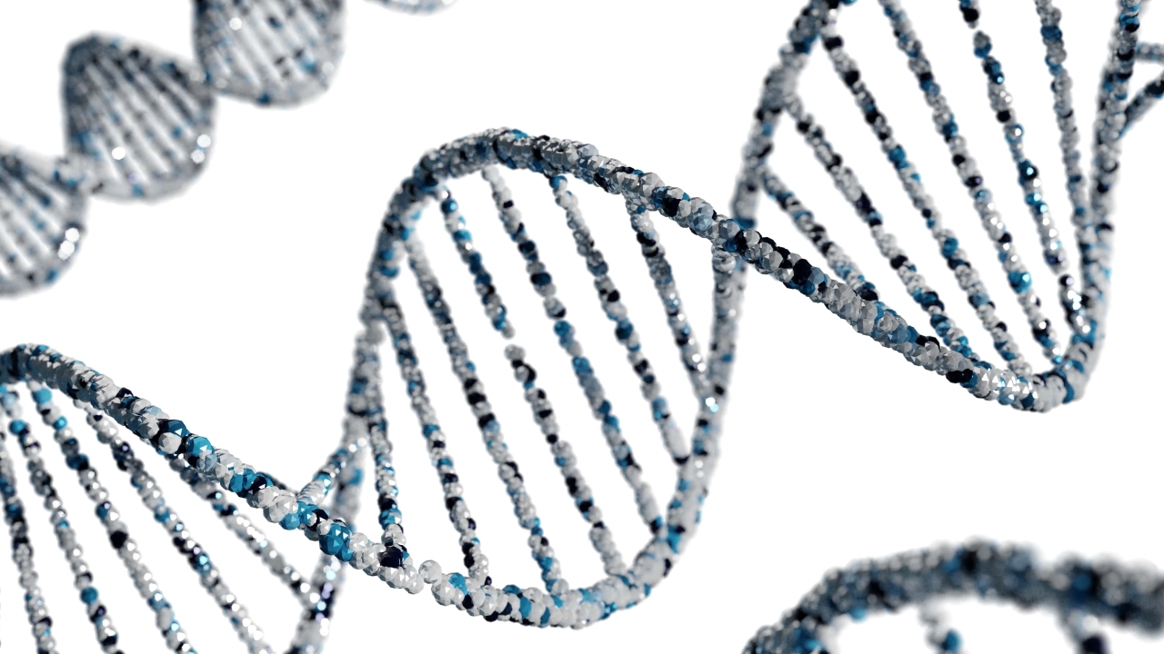 Enzymes for Research and Diagnostic Use