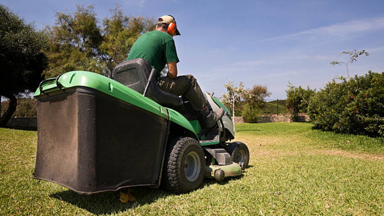 Revitalize Your Lawn with Expert Clean-Up Services