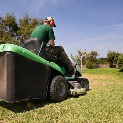 Revitalize Your Lawn with Expert Clean-Up Services