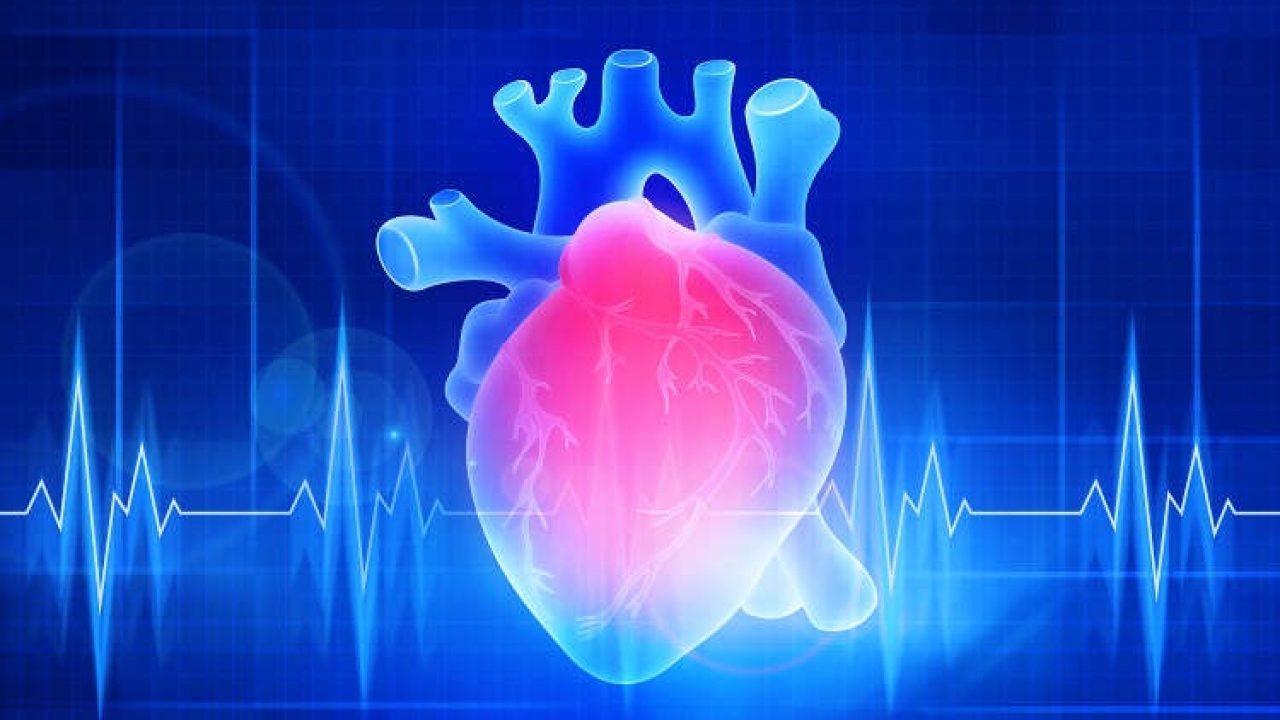 Special Organ - The Heart and all conditions related to it