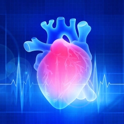 Special Organ - The Heart and all conditions related to it