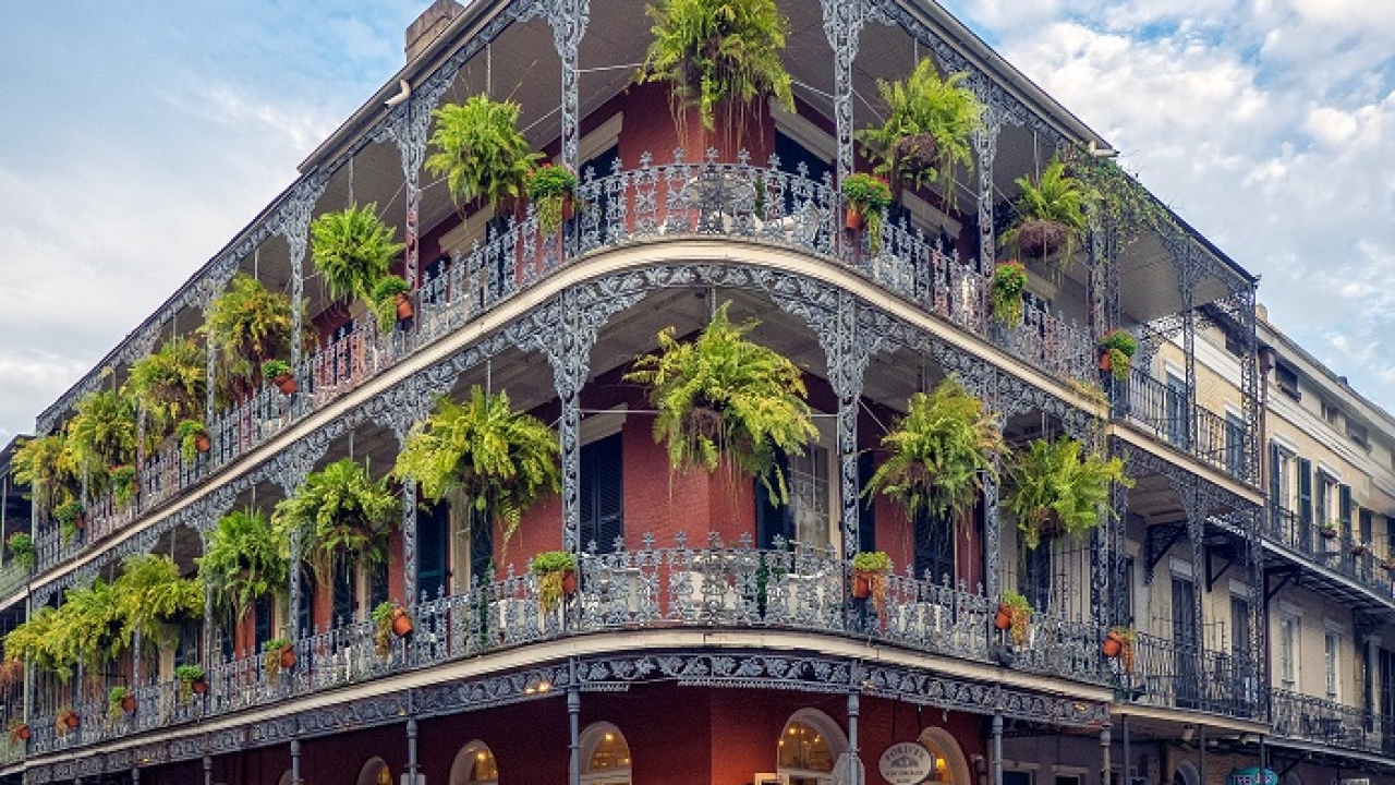 5 Outrageous Places to Visit in New Orleans