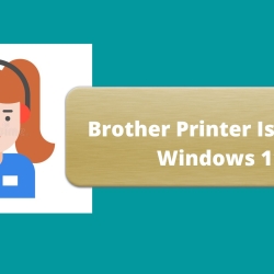 Why Is My Brother Printer Is Offline Windows 11?