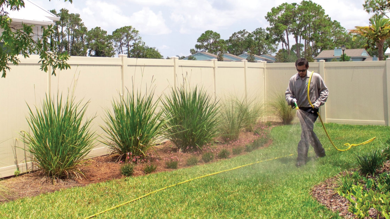 The Benefits of Lawn Treatment Services in Jacksonville