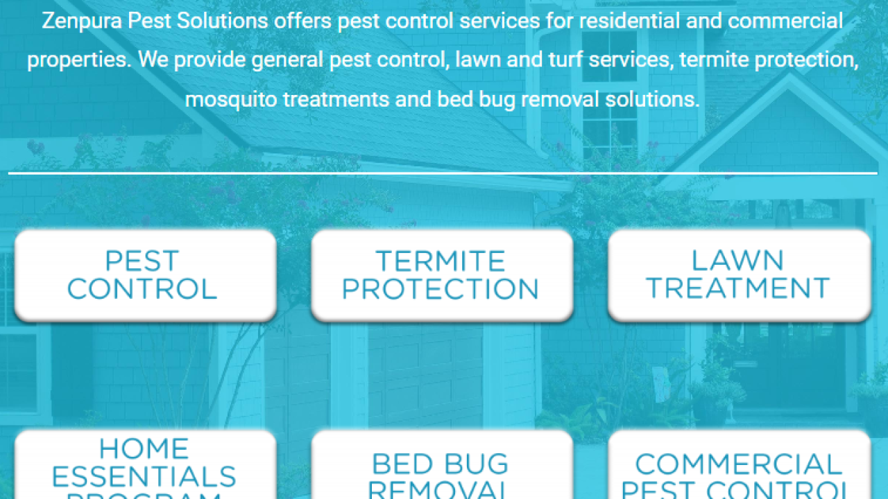 Effective Pest Control Solutions for Jacksonville, Florida Residents