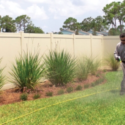 The Benefits of Lawn Treatment Services in Jacksonville