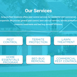 Effective Pest Control Solutions for Jacksonville, Florida Residents