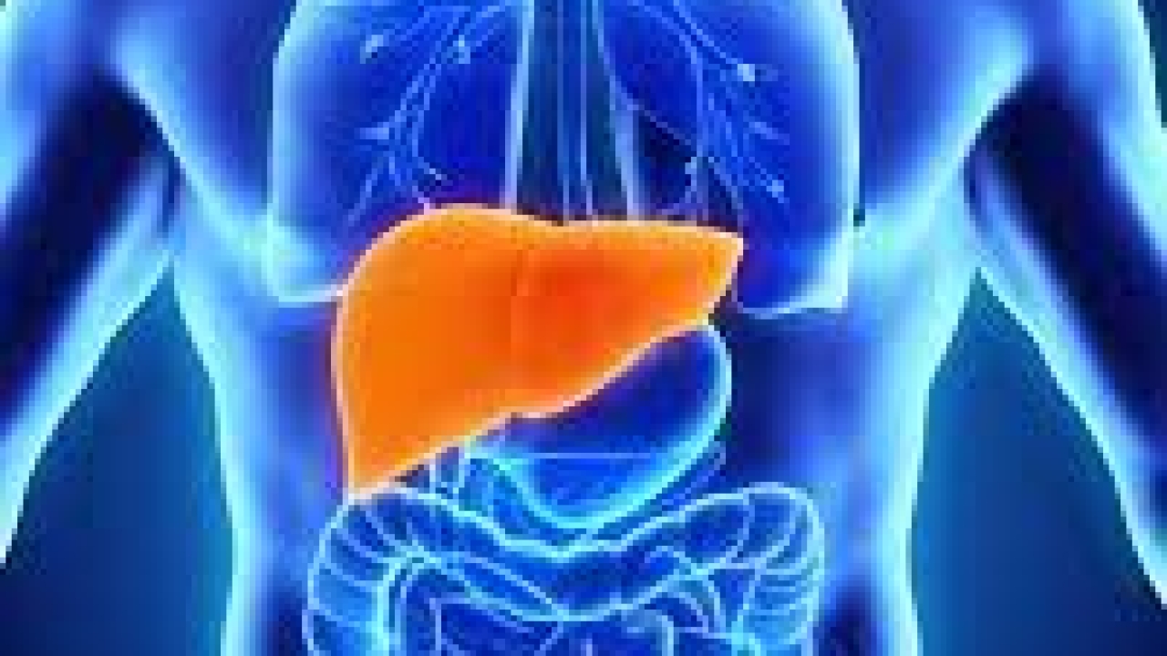 Can liver damage be reversed?