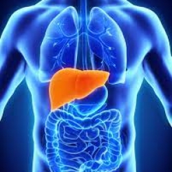 Can liver damage be reversed?