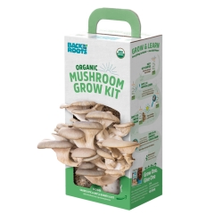 Custom Mushroom Boxes: Bundling Flawlessness