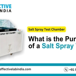 What is the Purpose of a Salt Spray Test?