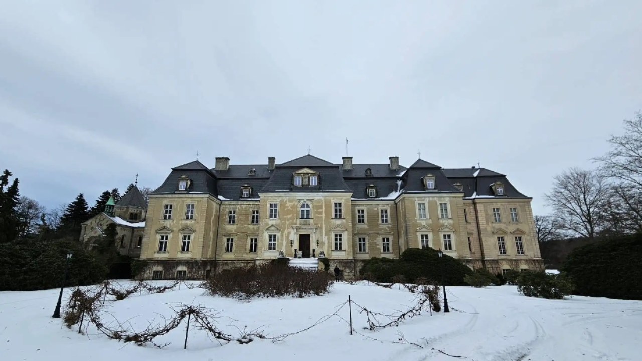 Die wichtigsten Vorteile der Installation einer PV-Anlage für Ihr Haus in Halle (Saale)