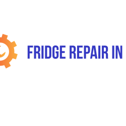 Fridge repair in Delhi