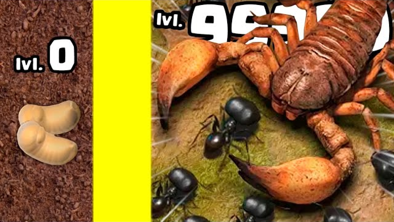 The Ants Game: An In-Depth Exploration of Strategy, Gameplay, and Fun