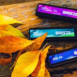 From Beginner to Expert: Why Breeze Vape Should be Your Go-To Vaping Device