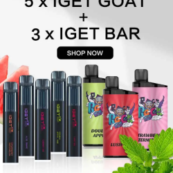 TOP 5 MOST Famous Expendable IGET BAR VAPES Audit AUSTRALIA