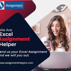 Hire Online Excel Assignment Helper in USA