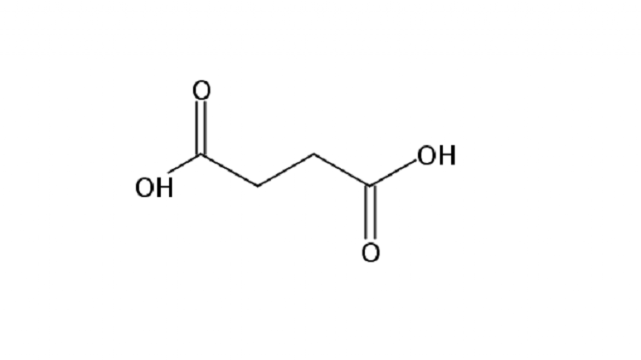 Procurement Resource Analyses the Production Cost of Butanedioic Acid in its New Report