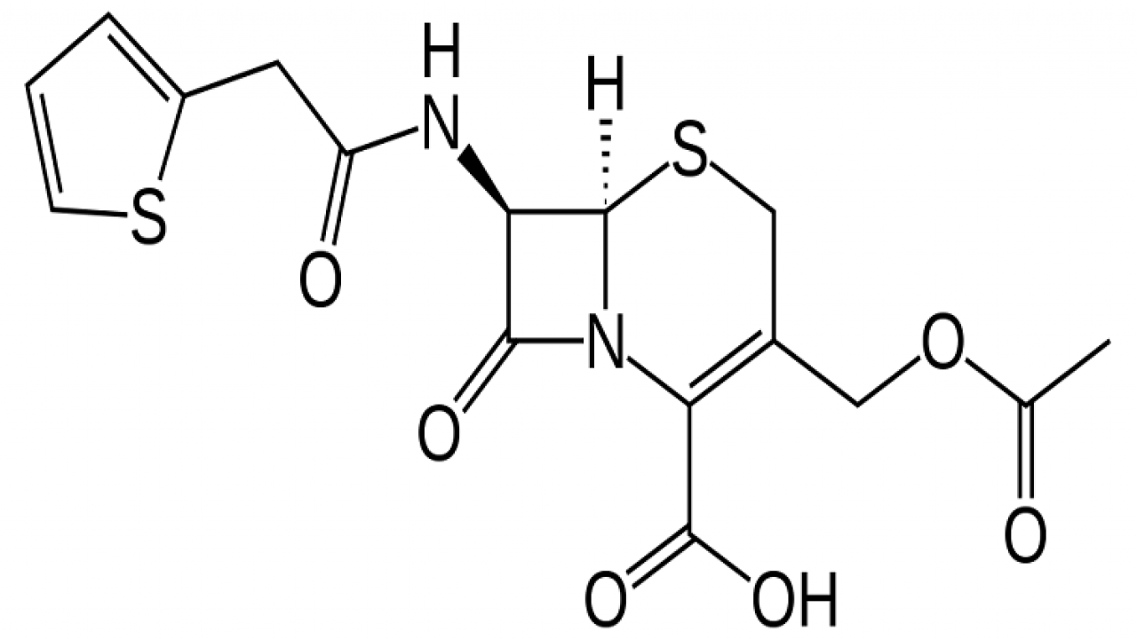 Procurement Resource Analyses the Production Cost of Cefalotin in its New Report