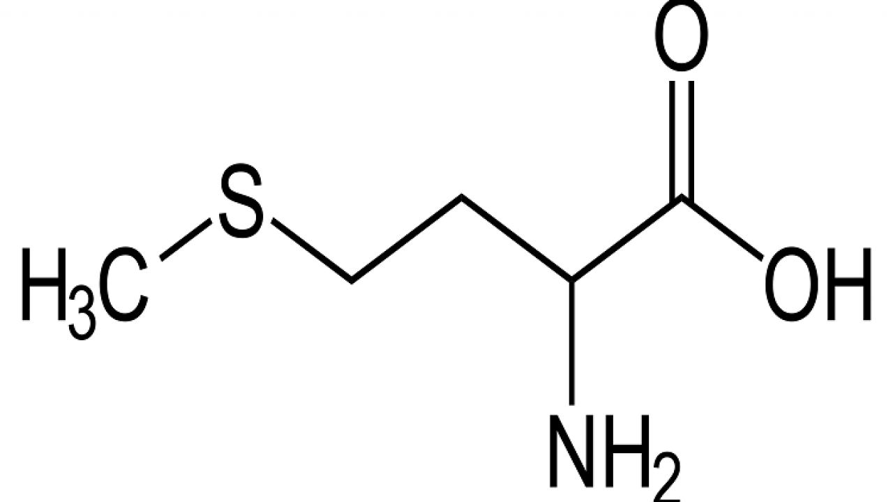 Procurement Resource Analyses the Production Cost of Methionine in its New Report