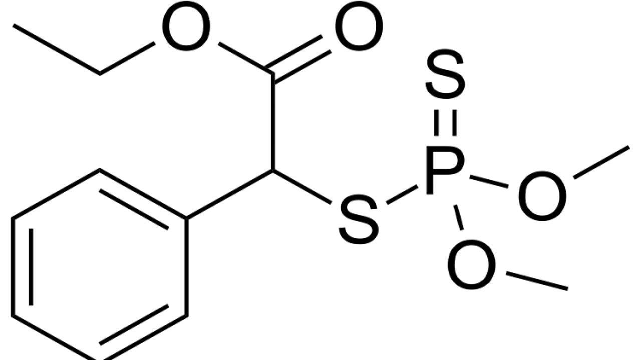 Procurement Resource Analyses the Production Cost of Phenthoate in its New Report