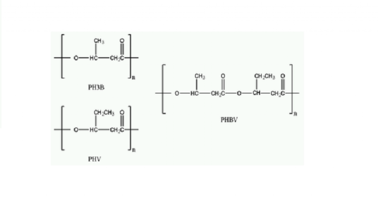 Procurement Resource Analyses the Production Cost of Polyhydroxy Butyrate in its New Report