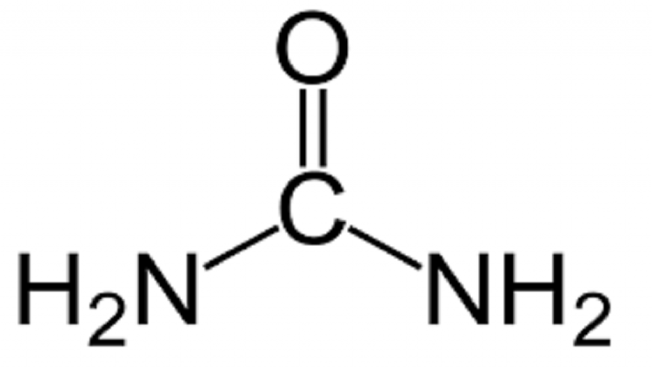 Procurement Resource Analyses the Production Cost of carbamide in its New Report