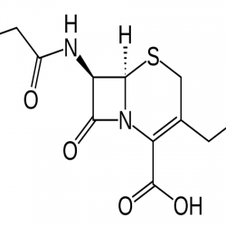 Procurement Resource Analyses the Production Cost of Cefalotin in its New Report