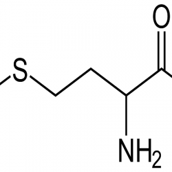 Procurement Resource Analyses the Production Cost of Methionine in its New Report