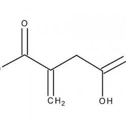 Procurement Resource Analyses the Production Cost of Methylenesuccinic Acid in its New Report