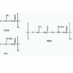 Procurement Resource Analyses the Production Cost of Polyhydroxy Butyrate in its New Report