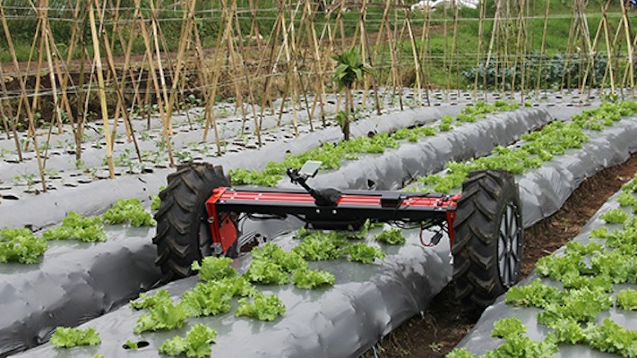 Agricultural Robots Market  Share, Key Players, Trends and Forecast To 2027