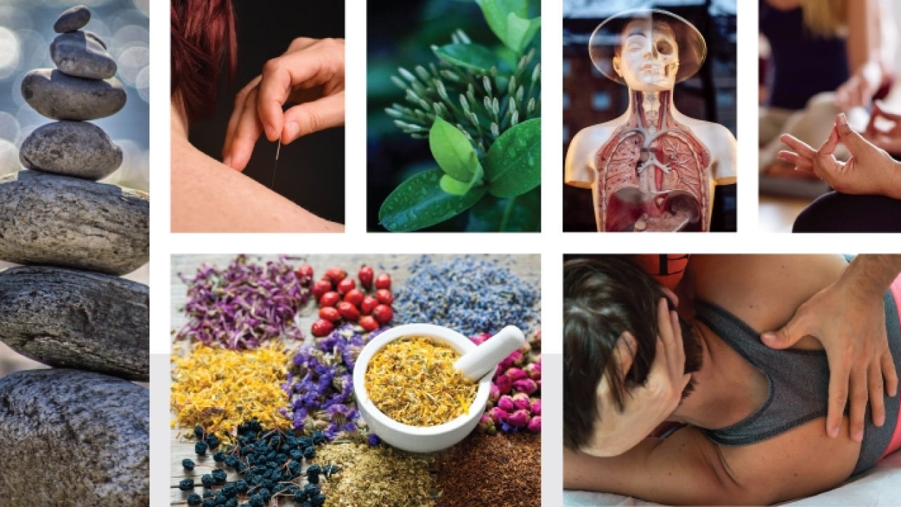 Complementary and Alternative Medicine Market Share, Key Players, Trends and Forecast 2023-2028