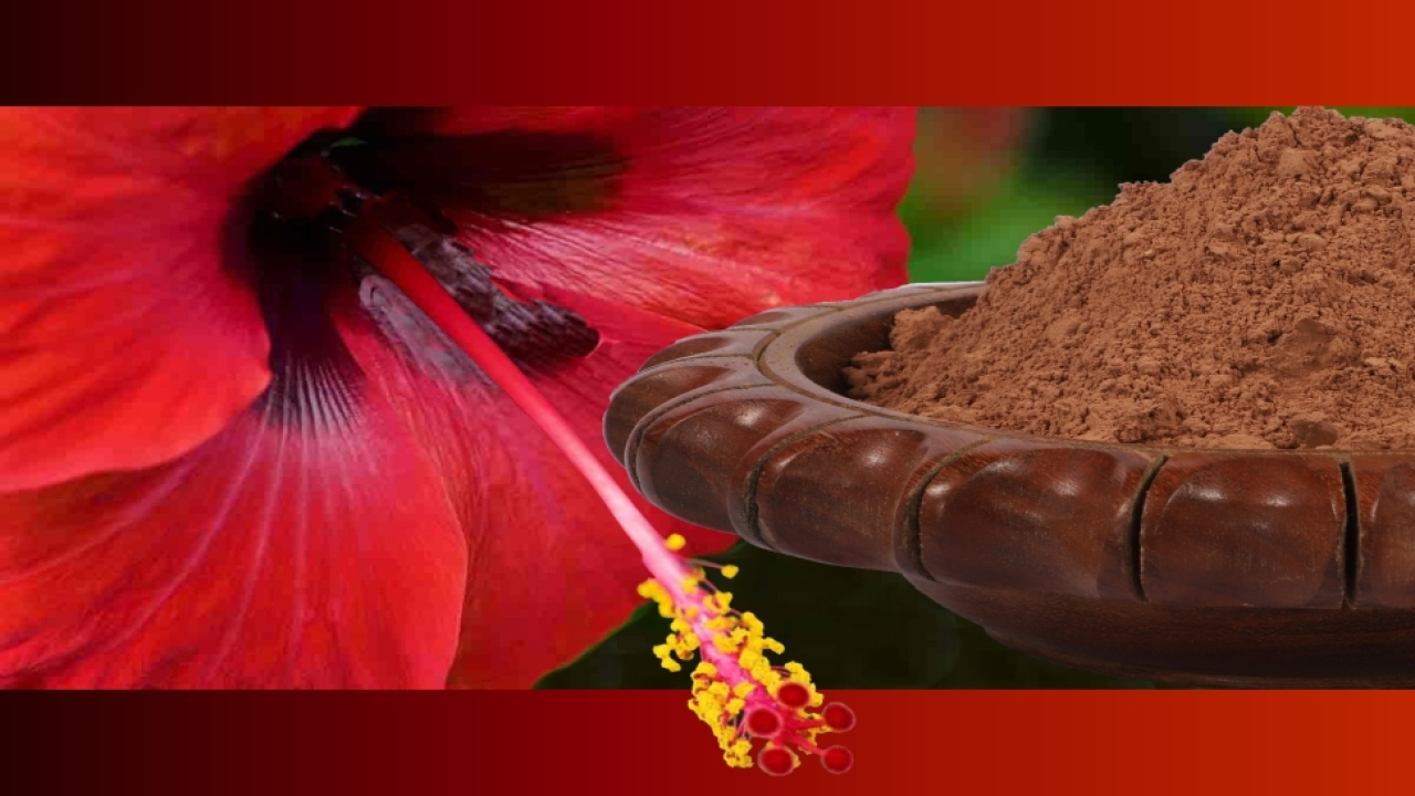 Hibiscus Flower Powder Market Growth, Share by Companies and Forecast 2023-2028