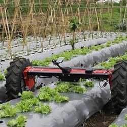 Agricultural Robots Market  Share, Key Players, Trends and Forecast To 2027